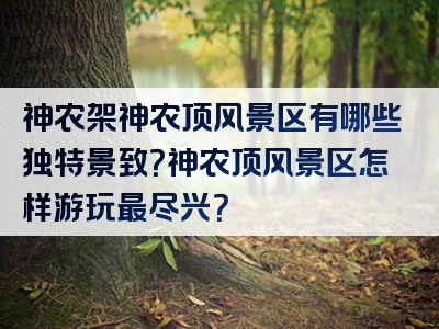 神农架神农顶风景区有哪些独特景致？神农顶风景区怎样游玩最尽兴？