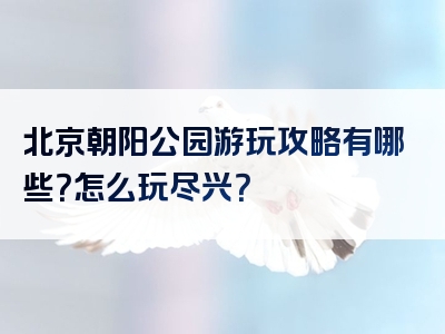 北京朝阳公园游玩攻略有哪些？怎么玩尽兴？