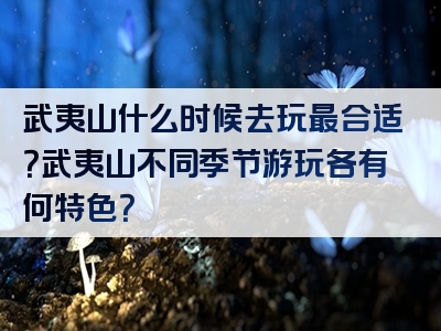 武夷山什么时候去玩最合适？武夷山不同季节游玩各有何特色？