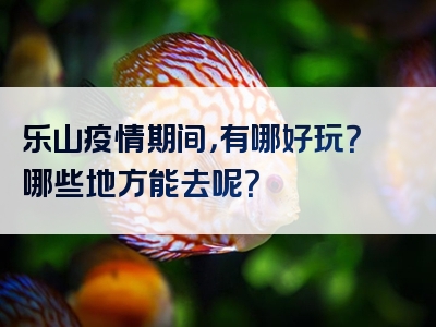 乐山疫情期间，有哪好玩？哪些地方能去呢？