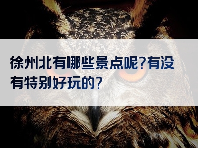 徐州北有哪些景点呢？有没有特别好玩的？