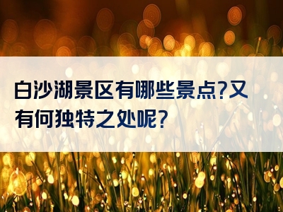 白沙湖景区有哪些景点？又有何独特之处呢？