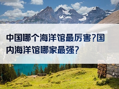 中国哪个海洋馆最厉害？国内海洋馆哪家最强？