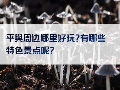 平舆周边哪里好玩？有哪些特色景点呢？