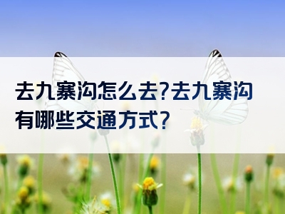 去九寨沟怎么去？去九寨沟有哪些交通方式？