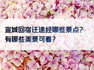 宣城回宿迁途经哪些景点？有哪些美景可看？