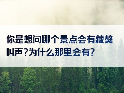你是想问哪个景点会有藏獒叫声？为什么那里会有？
