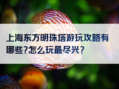 上海东方明珠塔游玩攻略有哪些？怎么玩最尽兴？