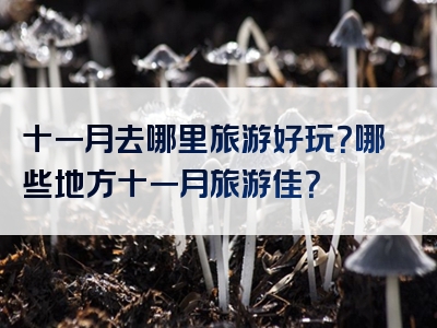 十一月去哪里旅游好玩？哪些地方十一月旅游佳？