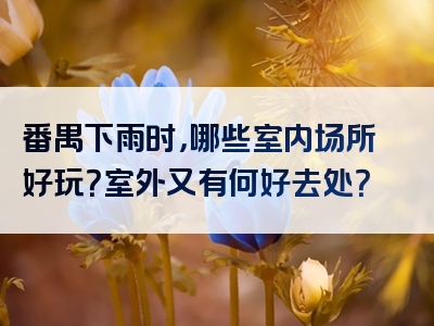 番禺下雨时，哪些室内场所好玩？室外又有何好去处？