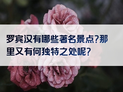 罗宾汉有哪些著名景点？那里又有何独特之处呢？
