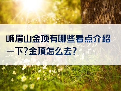 峨眉山金顶有哪些看点介绍一下？金顶怎么去？