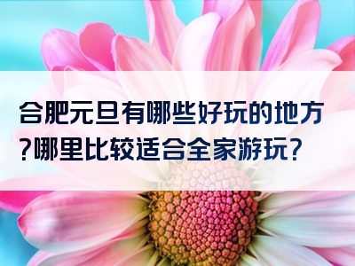 合肥元旦有哪些好玩的地方？哪里比较适合全家游玩？