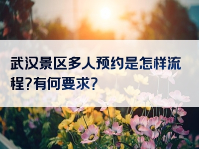 武汉景区多人预约是怎样流程？有何要求？