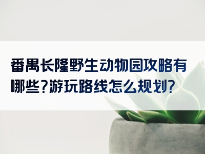 番禺长隆野生动物园攻略有哪些？游玩路线怎么规划？