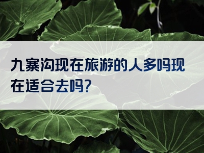 九寨沟现在旅游的人多吗现在适合去吗？