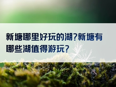 新塘哪里好玩的湖？新塘有哪些湖值得游玩？