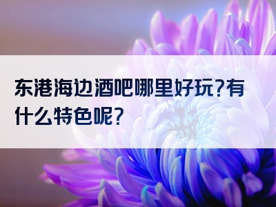 东港海边酒吧哪里好玩？有什么特色呢？