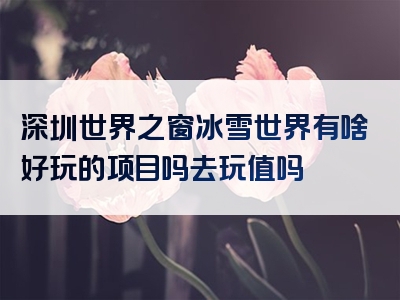 深圳世界之窗冰雪世界有啥好玩的项目吗去玩值吗