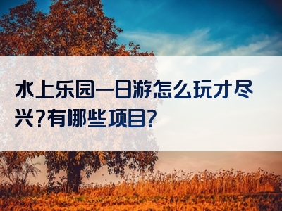 水上乐园一日游怎么玩才尽兴？有哪些项目？
