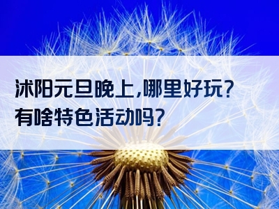 沭阳元旦晚上，哪里好玩？有啥特色活动吗？