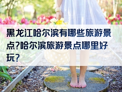 黑龙江哈尔滨有哪些旅游景点？哈尔滨旅游景点哪里好玩？