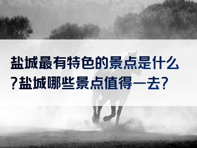 盐城最有特色的景点是什么？盐城哪些景点值得一去？