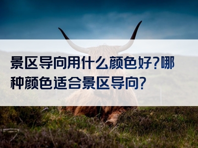 景区导向用什么颜色好？哪种颜色适合景区导向？