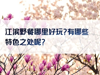 江滨野餐哪里好玩？有哪些特色之处呢？