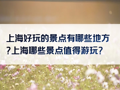 上海好玩的景点有哪些地方？上海哪些景点值得游玩？