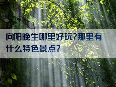 向阳晚生哪里好玩？那里有什么特色景点？