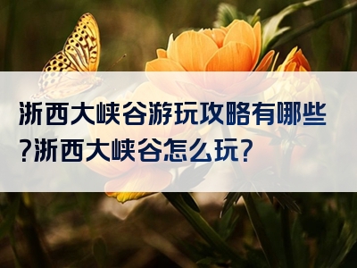 浙西大峡谷游玩攻略有哪些？浙西大峡谷怎么玩？