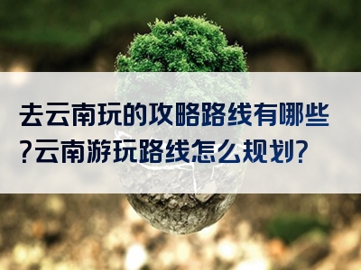 去云南玩的攻略路线有哪些？云南游玩路线怎么规划？