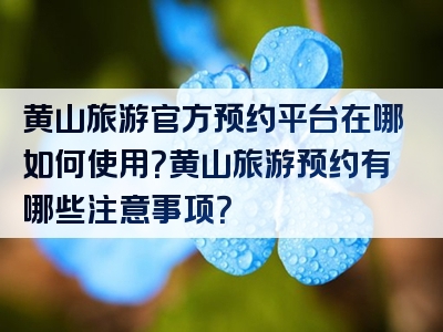 黄山旅游官方预约平台在哪如何使用？黄山旅游预约有哪些注意事项？