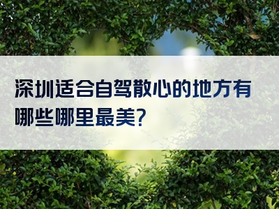 深圳适合自驾散心的地方有哪些哪里最美？