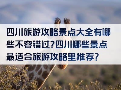 四川旅游攻略景点大全有哪些不容错过？四川哪些景点最适合旅游攻略里推荐？