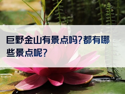 巨野金山有景点吗？都有哪些景点呢？