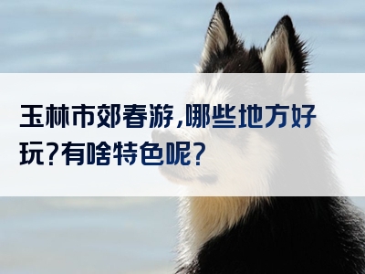 玉林市郊春游，哪些地方好玩？有啥特色呢？