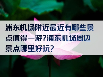 浦东机场附近最近有哪些景点值得一游？浦东机场周边景点哪里好玩？