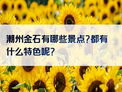 潮州金石有哪些景点？都有什么特色呢？