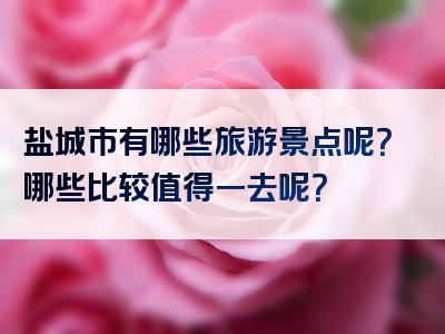盐城市有哪些旅游景点呢？哪些比较值得一去呢？