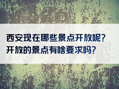 西安现在哪些景点开放呢？开放的景点有啥要求吗？