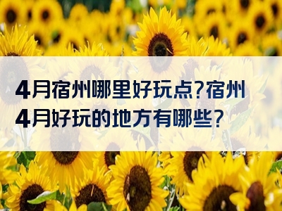 4月宿州哪里好玩点？宿州4月好玩的地方有哪些？
