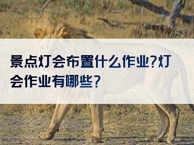 景点灯会布置什么作业？灯会作业有哪些？