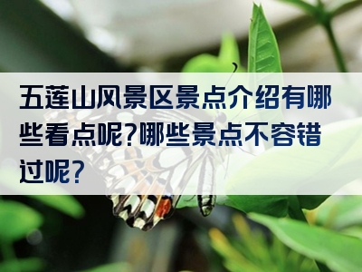 五莲山风景区景点介绍有哪些看点呢？哪些景点不容错过呢？