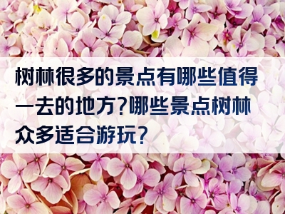 树林很多的景点有哪些值得一去的地方？哪些景点树林众多适合游玩？