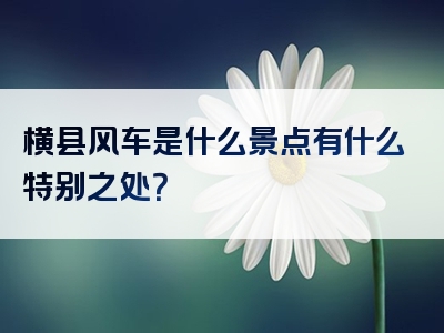 横县风车是什么景点有什么特别之处？