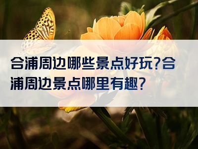 合浦周边哪些景点好玩？合浦周边景点哪里有趣？