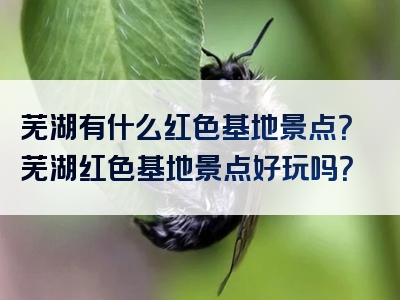 芜湖有什么红色基地景点？芜湖红色基地景点好玩吗？