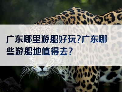 广东哪里游船好玩？广东哪些游船地值得去？